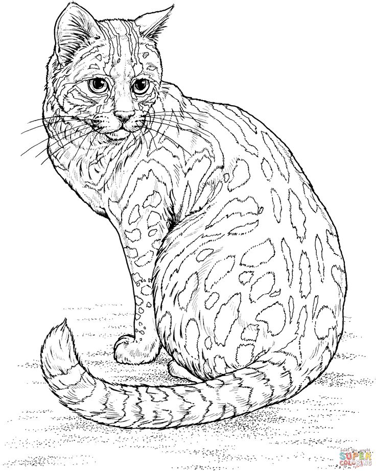 Cat Coloring Pages For Adults 9