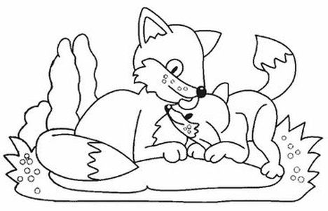 Cute Baby Fox Coloring Pages 22
