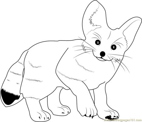 Cute Baby Fox Coloring Pages 25