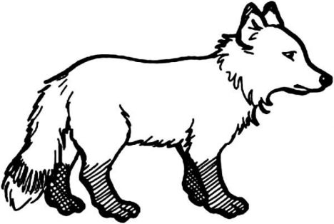 Cute Baby Fox Coloring Pages 4