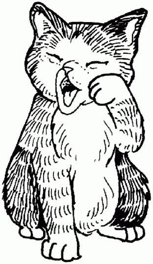 Cute Kitten Coloring Pages 70