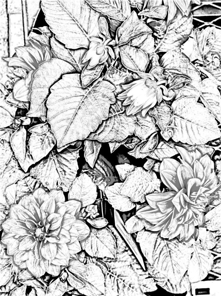 Detailed Landscape Coloring Pages For Adults 1