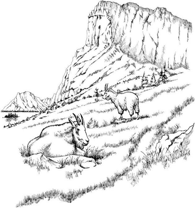 Detailed Landscape Coloring Pages For Adults Part 3