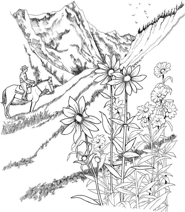 Detailed Landscape Coloring Pages For Adults 4