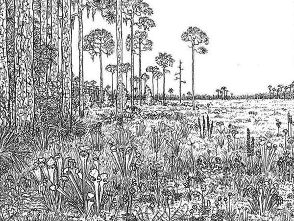 Detailed Landscape Coloring Pages For Adults 6