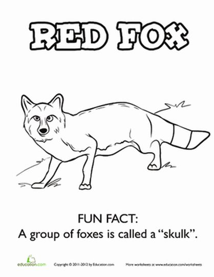 Fox Coloring Pages for Preschoolers 3