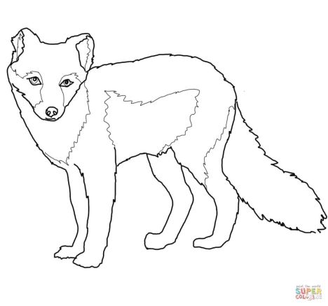 fox coloring pages for preschoolers  part 3