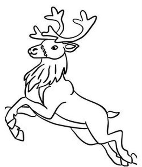 Reindeer Face Coloring Pages 19