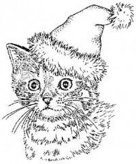 6300 Top Coloring Pages Christmas Cat Pictures