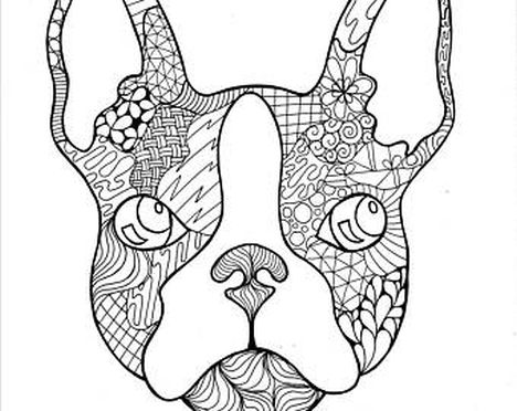 French Bulldog Coloring Pages 21