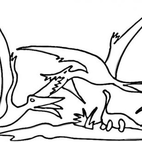 Pterodactyl Colouring Pages 16