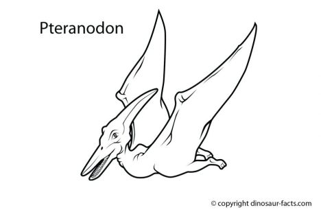 Pterodactyl Colouring Pages 21