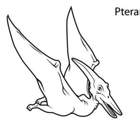 Pterodactyl Colouring Pages 23