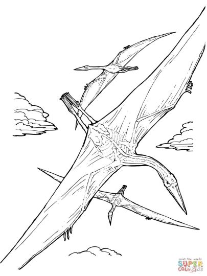 Pterodactyl Colouring Pages 40