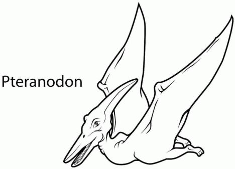 Pterodactyl Colouring Pages 45