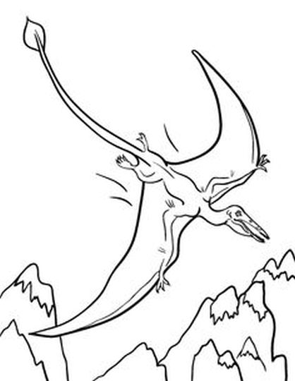 Pterodactyl Colouring Pages 48