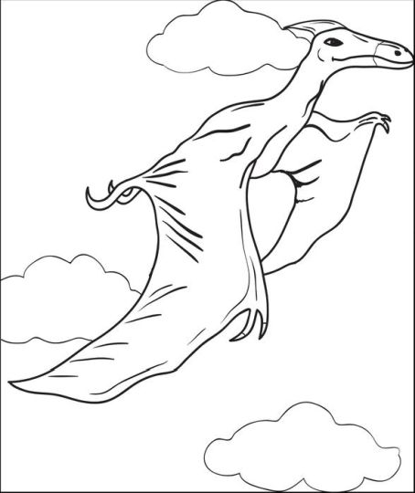 Pterodactyl Colouring Pages 49